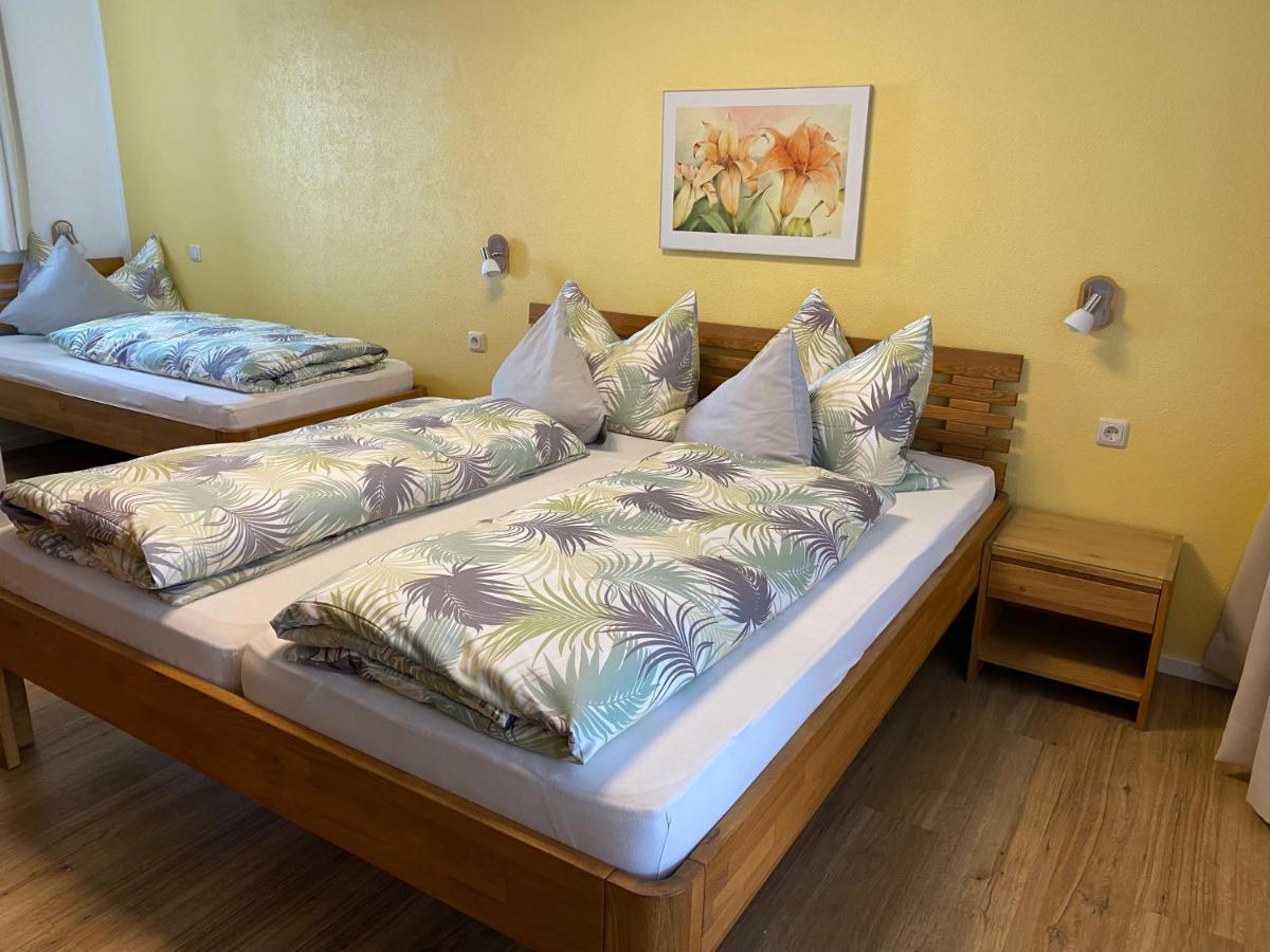 Fischer Apartament